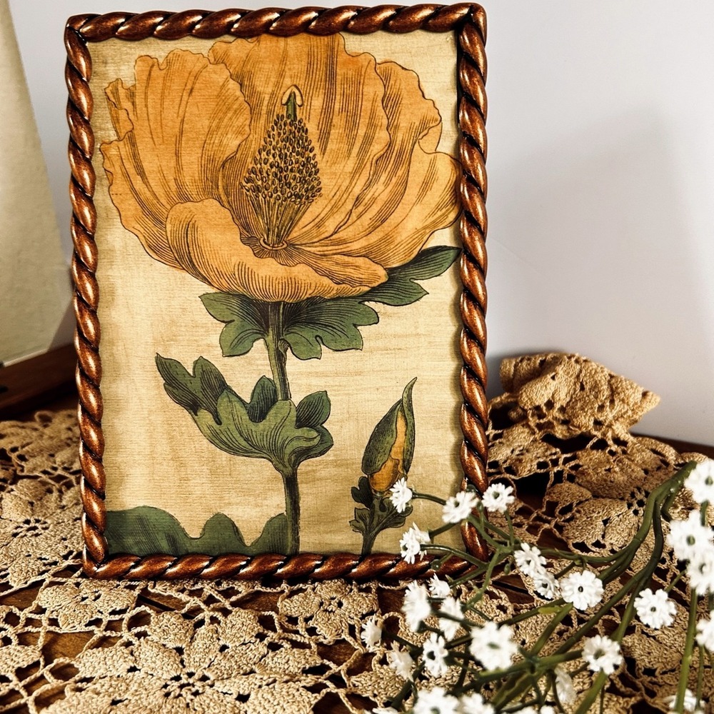 Rustic Life Collection By Sheffield Home 5" x 7"  Twisted Rope Brass Frame